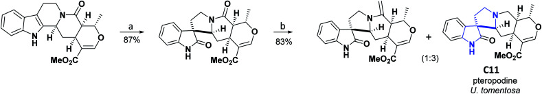 Scheme 4