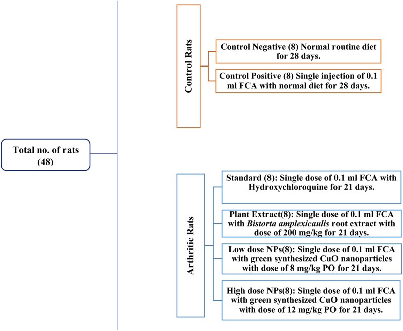 FIGURE 3