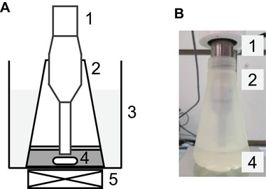 FIGURE 1