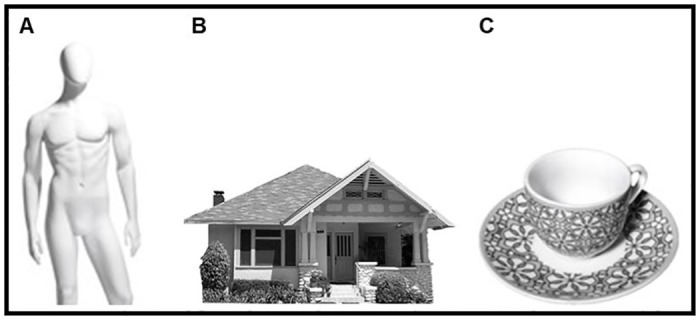Fig 3