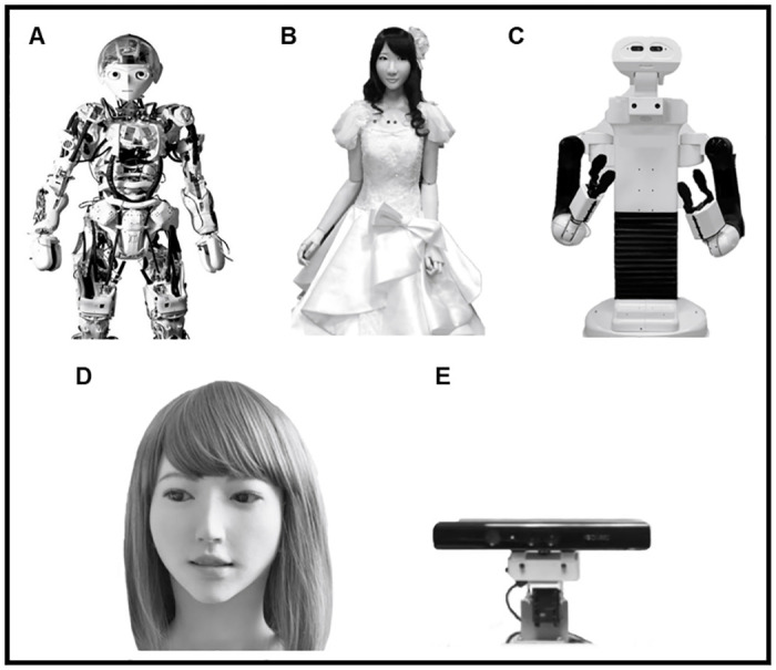 Fig 1