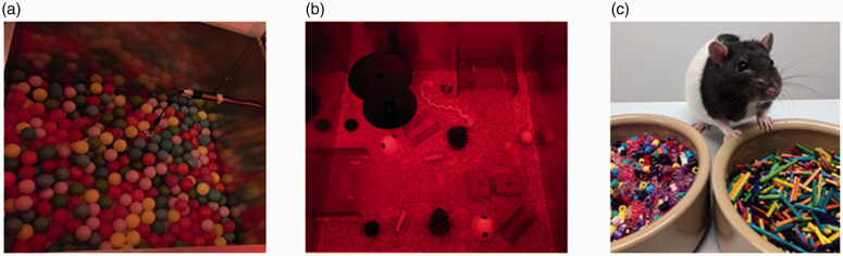 Figure 1.