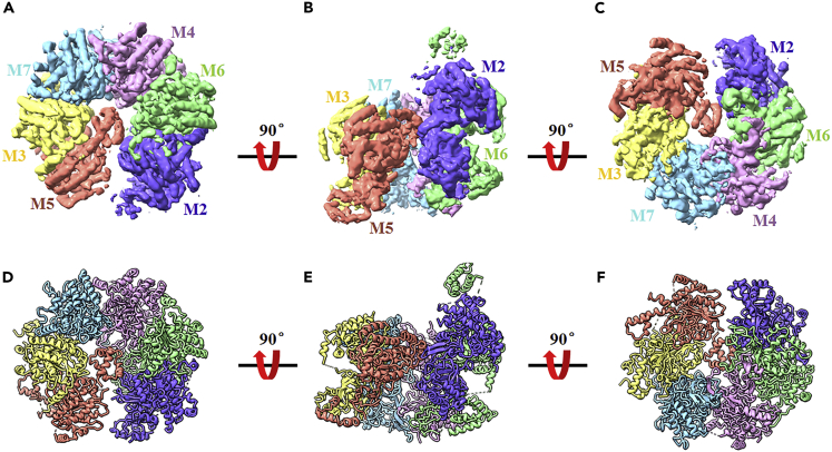 Figure 3