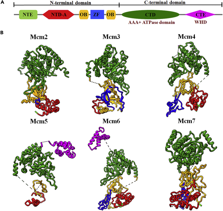 Figure 4