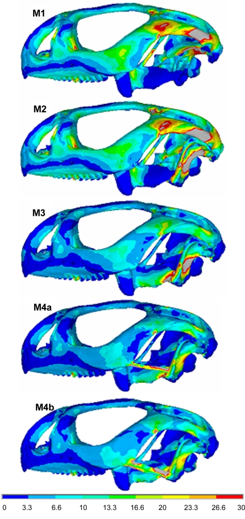 Fig. 5.