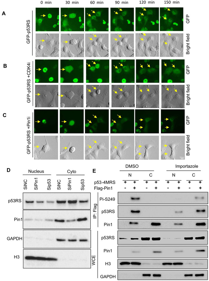 Figure 3.