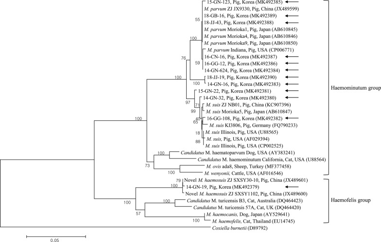 Fig. 2