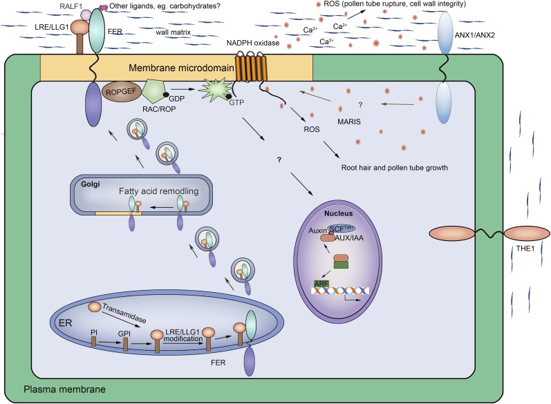 Figure 2.