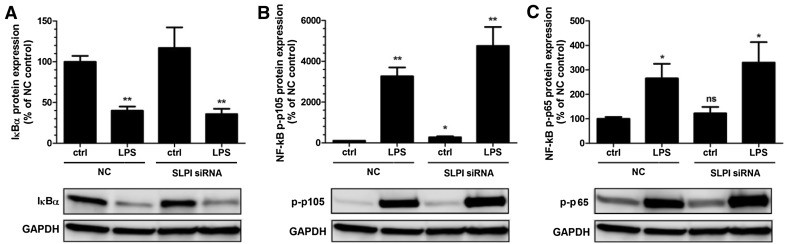 Fig. 6