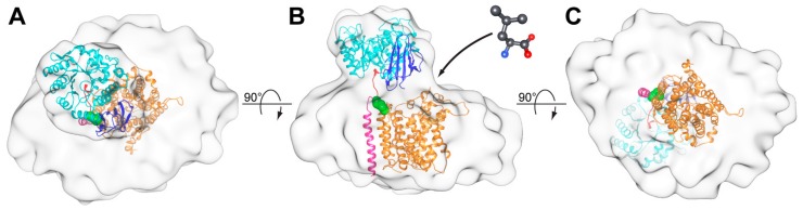 Figure 5