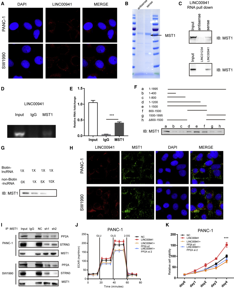 Figure 6