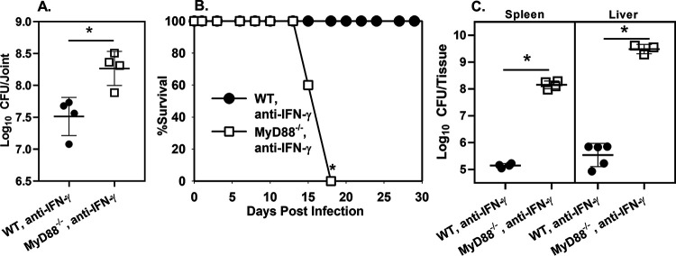 FIG 2