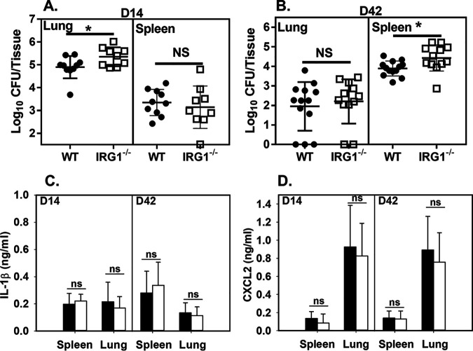 FIG 6