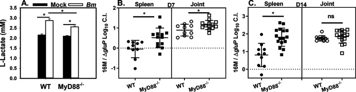 FIG 3