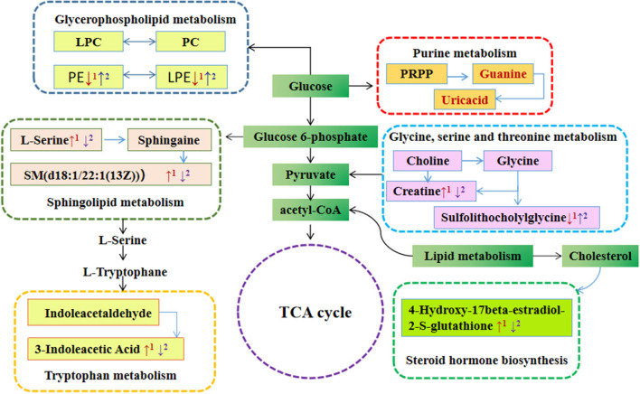 Figure 6