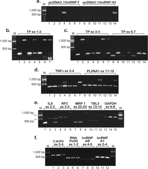 FIGURE 7.