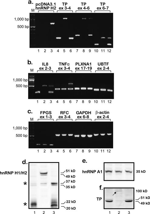 FIGURE 9.