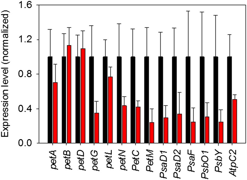 Figure 7.