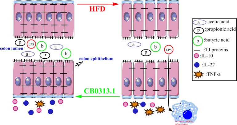 Fig 6