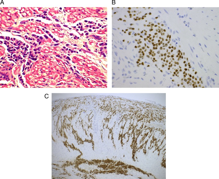 Figure 4