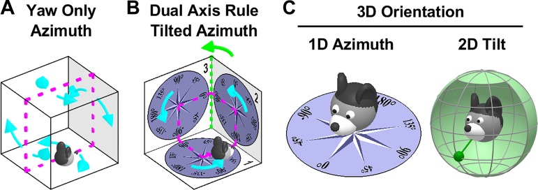 Fig. 1.