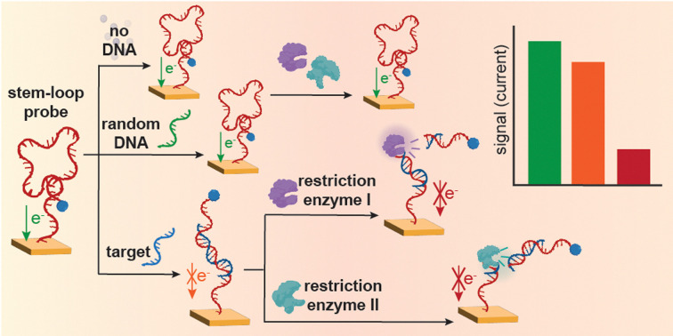 graphic file with name d3cc06192b-ga.jpg