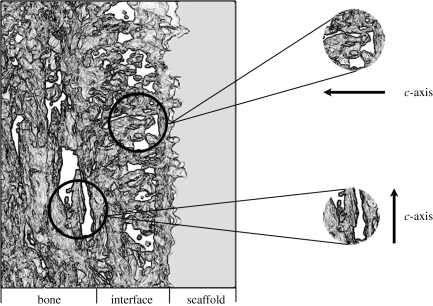 Figure 4.