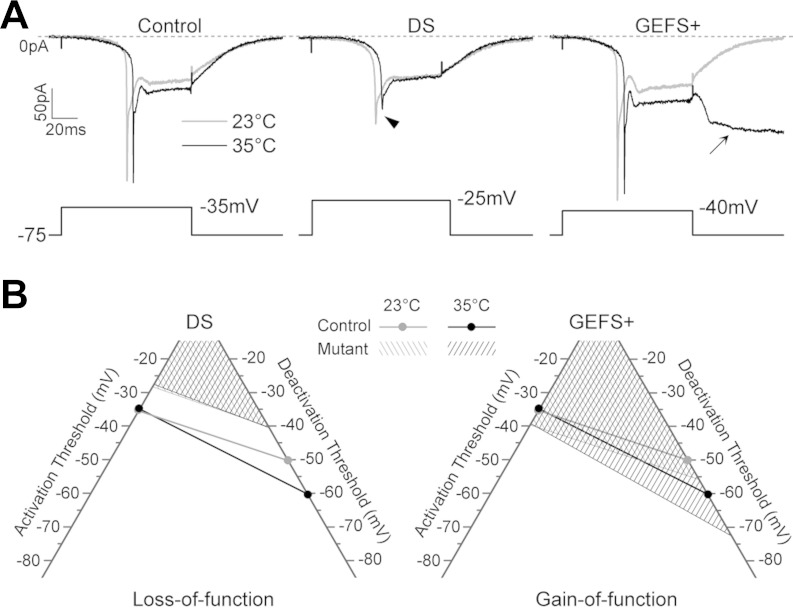 Fig. 7.