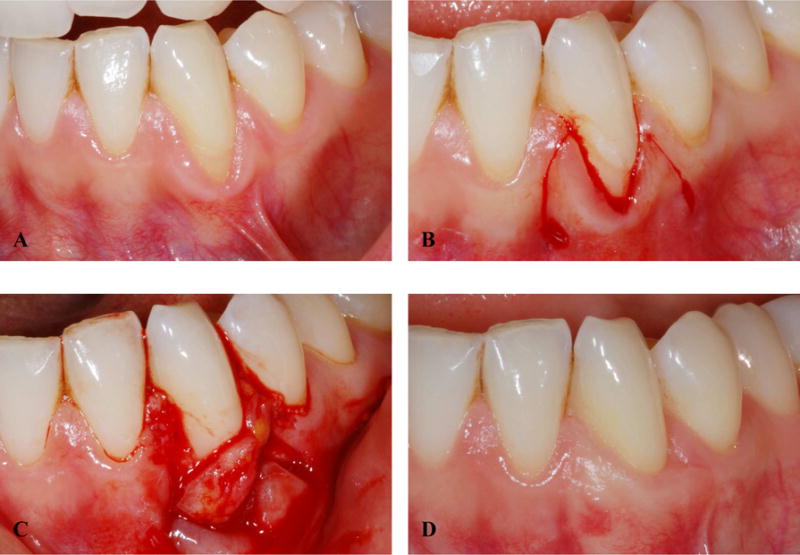 Figure 5