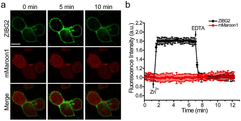 Figure 3.