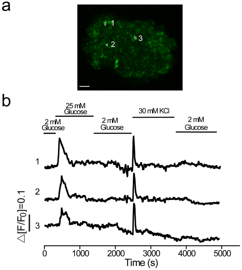 Figure 7.