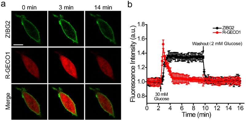 Figure 5.