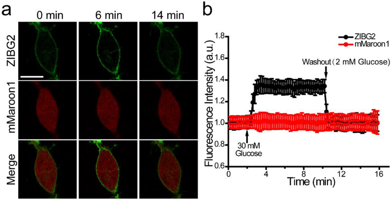 Figure 4.