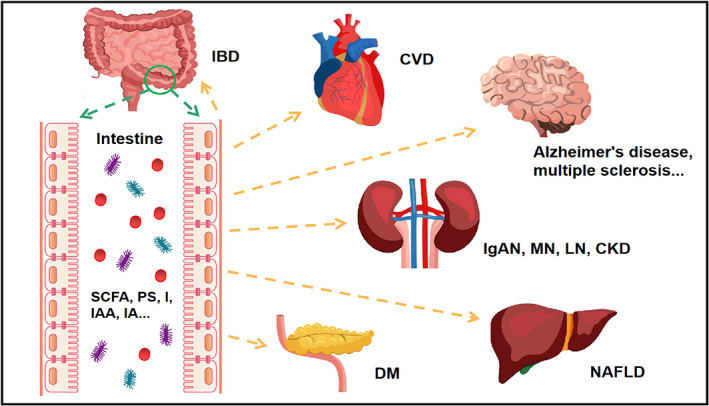 FIGURE 1