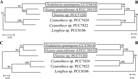 FIG. 4.