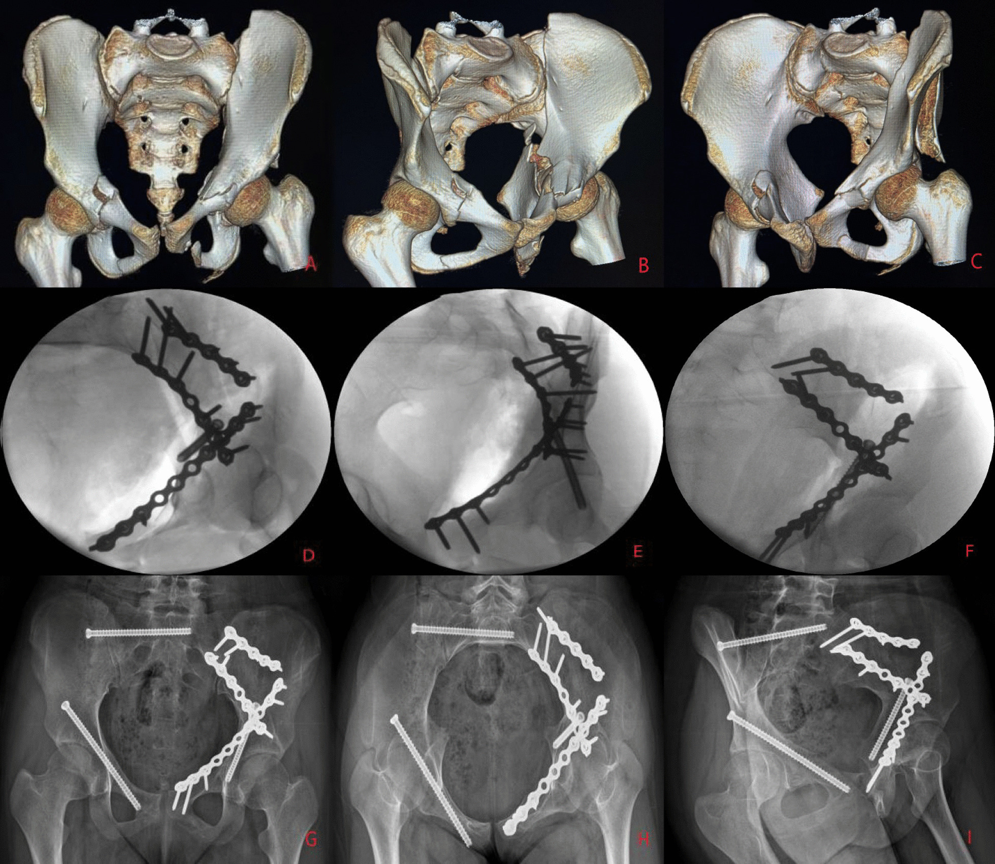 Fig. 3