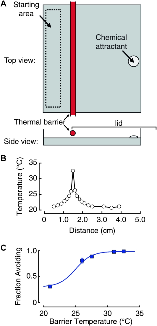 Figure 1.—