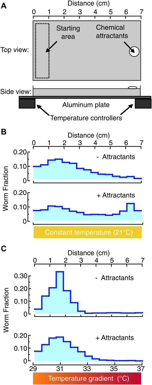 Figure 2.—