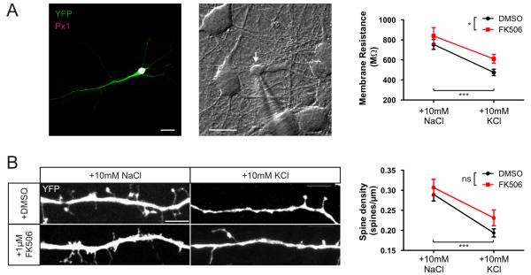 Figure 10