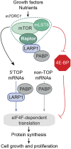 Figure 7.