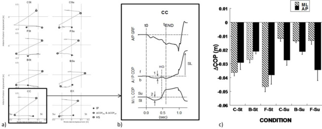 Figure 1a