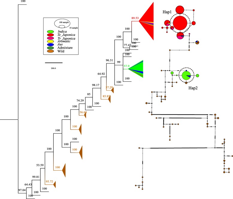 Fig. 4