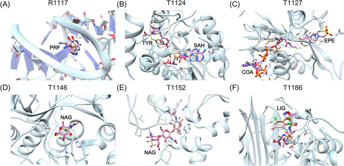 Fig. 6