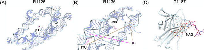 Fig. 9