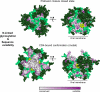 Extended Data Figure 7