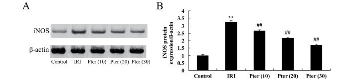 Figure 5.