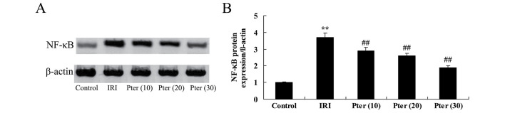 Figure 9.