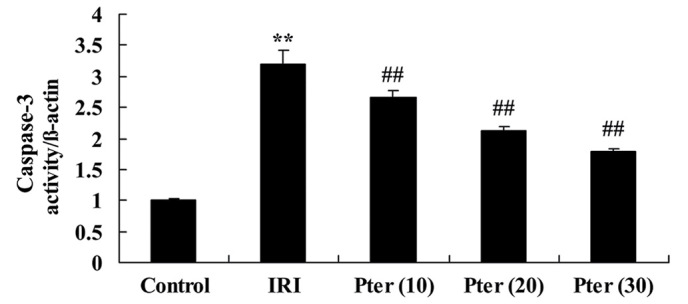 Figure 7.