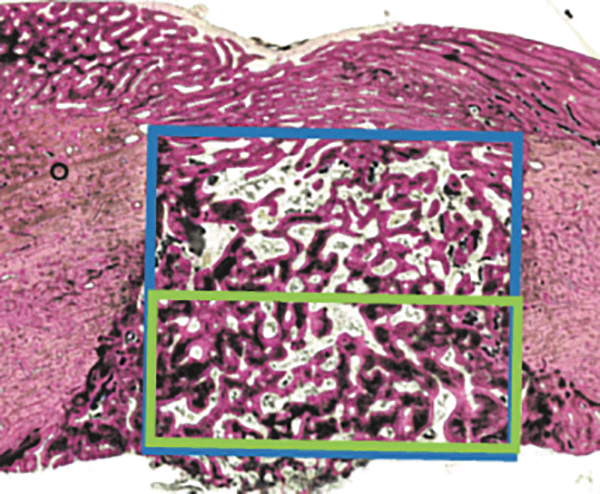 FIG. 5.