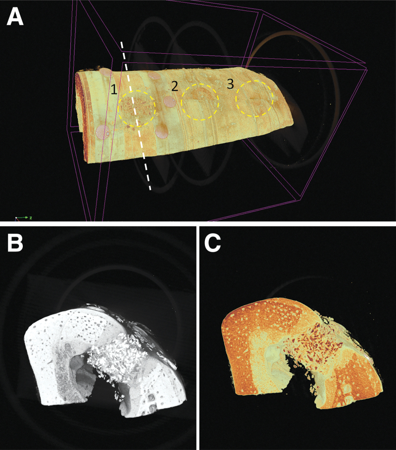 FIG. 3.